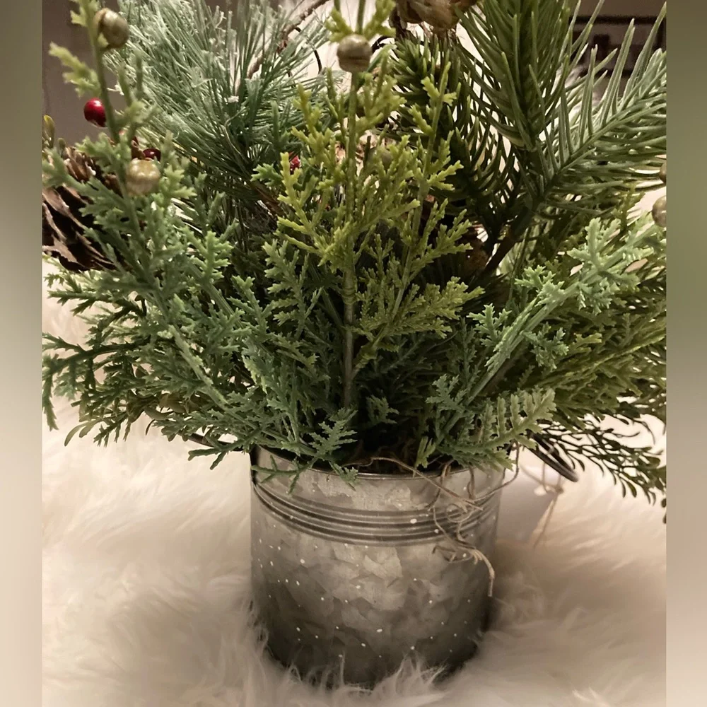 Decorative winter greenery
